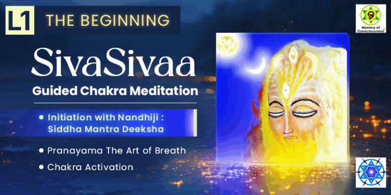 trial-siva-banner-2a-27